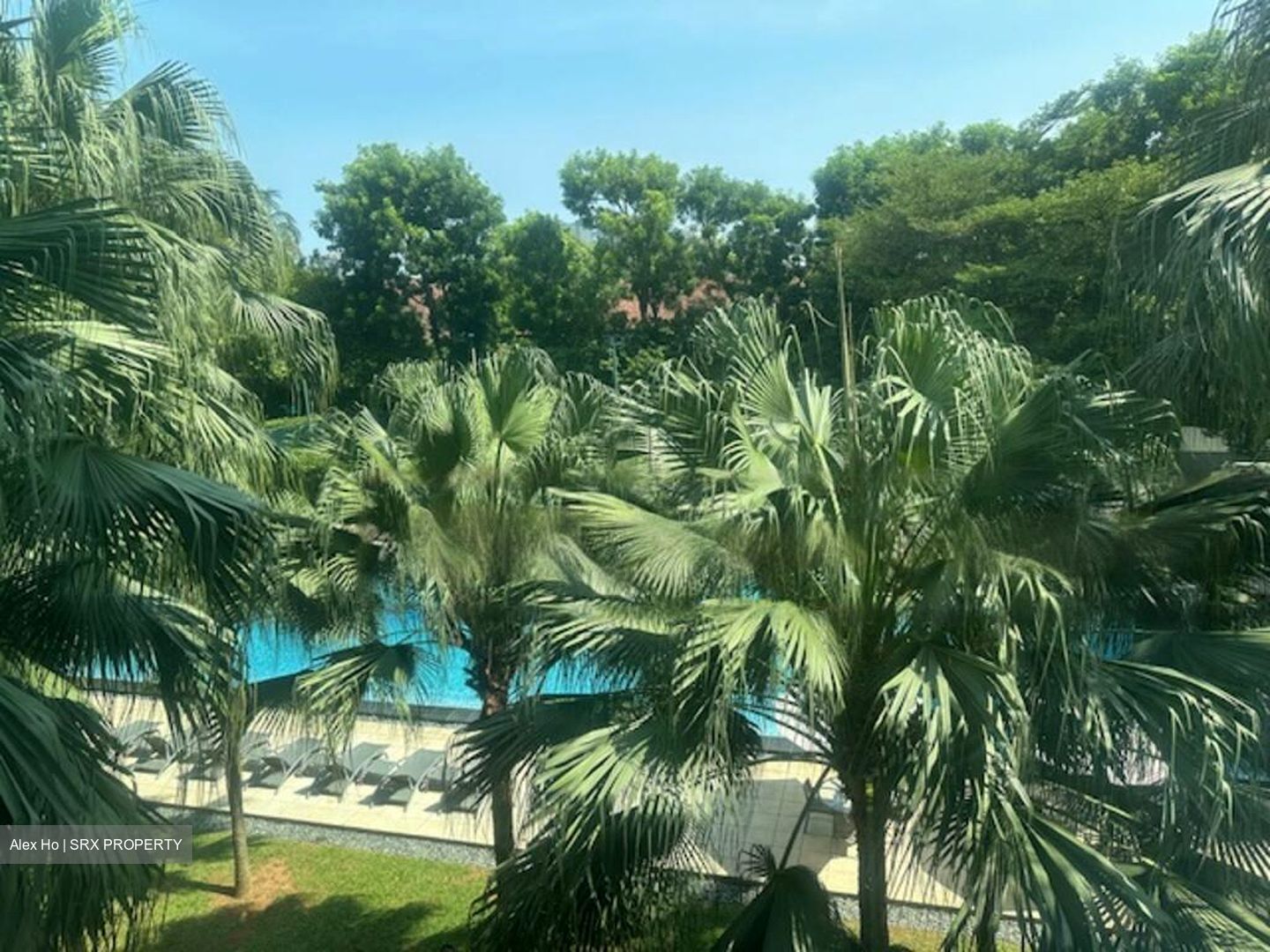Grange Residences (D10), Condominium #462070791